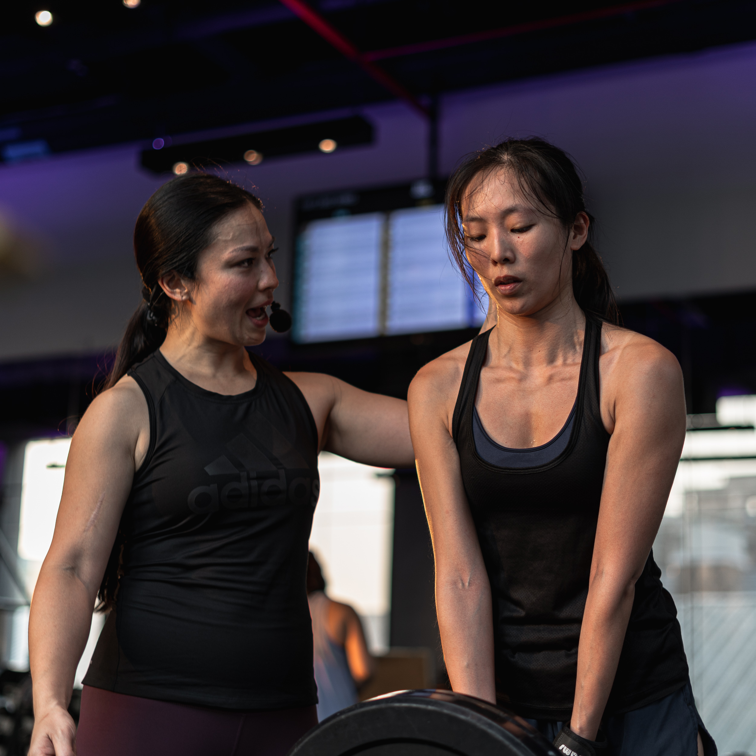 Our Top 10 Member Success Stories